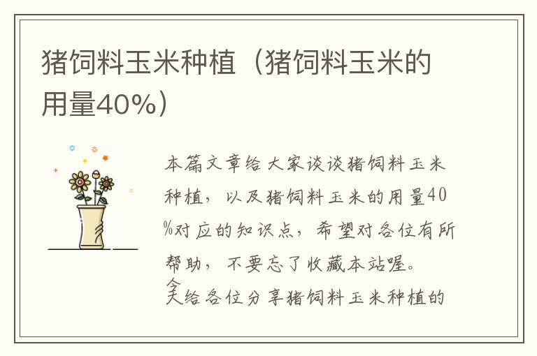 猪饲料玉米种植（猪饲料玉米的用量40%）